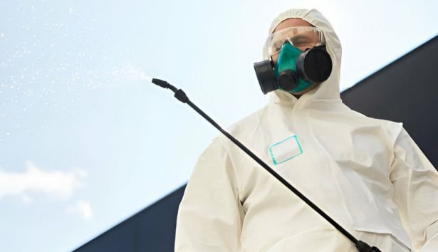 Pest Control Flemington